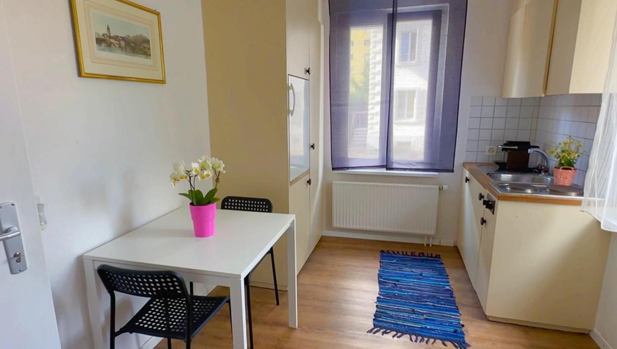 올텐 Grandhouse Center Of Switzerland 아파트 외부 사진